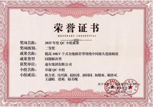 公司榮獲“提高10KV干式全絕緣管型母線中間接頭連接精度”市級(jí)QC成果二等獎(jiǎng)