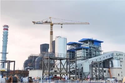 湖南魯麗生物質項目